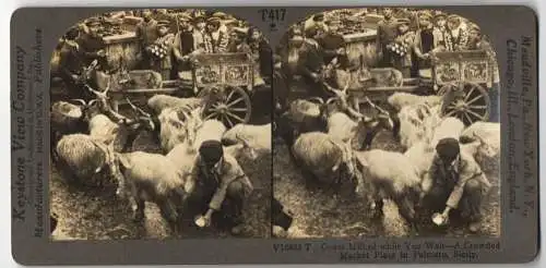 Stereo-Fotografie Keystone View, Meadville, Ansicht Palermo / Sizilien, Goats Milked, Crowded Market Place
