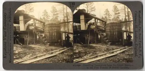 Stereo-Fotografie Keystone View, Meadville, Ansicht North Carolina, Distilling Turpentine in the Pine Forests