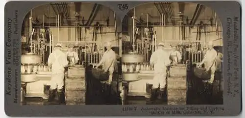 Stereo-Fotografie Keystone View, Meadville, Ansicht Cohocton / New York, Automatic Machine for Filling Bottles of Milk