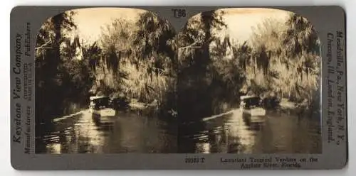 Stereo-Fotografie Keystone View Company, Meadville, Ansicht Florida, Luxuriant Tropical Verdure on the Anclote River