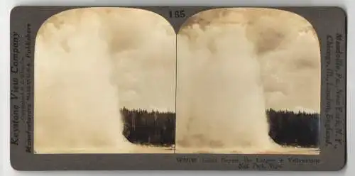 Stereo-Fotografie Keystone View Company, Meadville, Ansicht Yellowstone / Wyoming, Giant Geyser