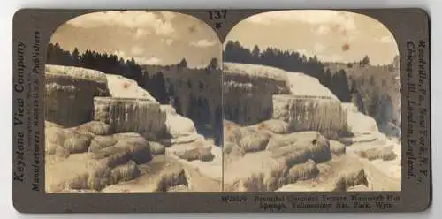 Stereo-Fotografie Keystone View Company, Meadville, Ansicht Yellowstone / Wyoming, Cleopatra Terrace Mammoth Hot Springs