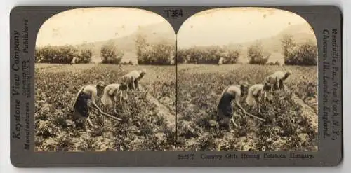 Stereo-Fotografie Keystone View Company, Meadville, Ansicht Hungary / Ungarn, Country Girls Hoeing Potatoes