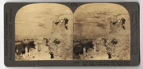 Stereo-Fotografie Keystone View Company, Meadville, Ansicht Yellowstone / Wyoming, Specimen Ridge, Fossil Tree Trunks