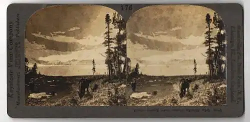 Stereo-Fotografie Keystone View Company, Meadville, Ansicht Montana, Iceberg Lake Glacier National Park