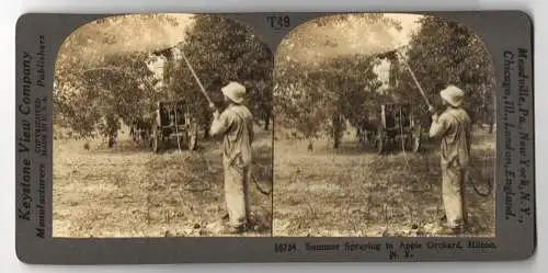 Stereo-Fotografie Keystone View Company, Meadville, Ansicht Hilton / NY, Summer Sprying in Apple Orchand