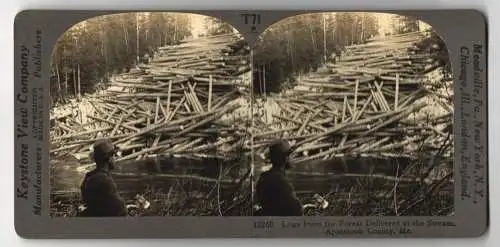 Stereo-Fotografie Keystone View Company, Meadville, Ansicht Aroostook County / Maine, Logs from the Forest