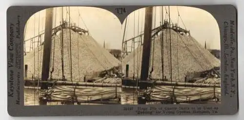 Stereo-Fotografie Keystone View Company, Meadville, Ansicht Hampton / Virginia, Huge Pile of Oyster Shells