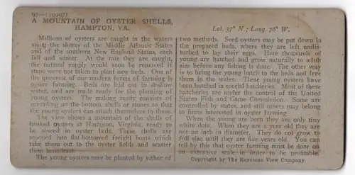 Stereo-Fotografie Keystone View Company, Meadville, Ansicht Hampton / Virginia, Huge Pile of Oyster Shells