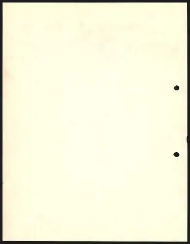 Rechnung Metzingen 1929, Joh. Braun, Tuchfabrik, Das Betriebsgelände aus der Vogelschau, Spinnerei-Filiale, Stammhaus