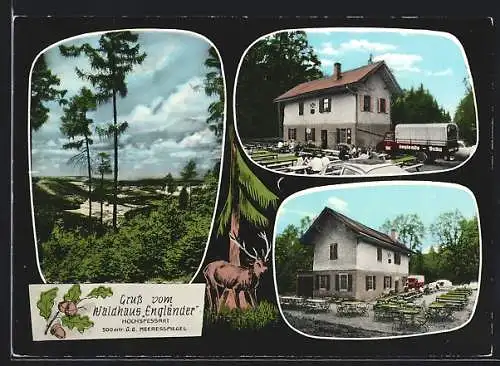 AK Jakobsthal, Waldhaus Engländer im Hochspessart, Gasthaus