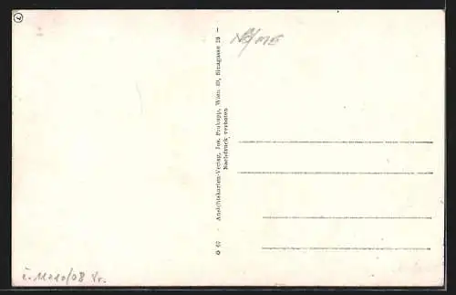 AK Neumarkt a. d. Ybbs, Ortsansicht aus der Vogelschau