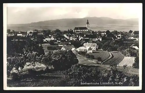 AK Loosdorf, Totalansicht