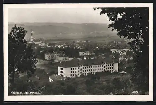 AK Feldbach /Steiermark, Teilansicht mit Kirche