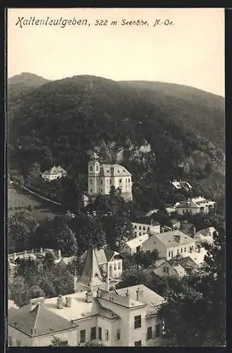 AK Kaltenleutgeben, Panorama m. Kirche