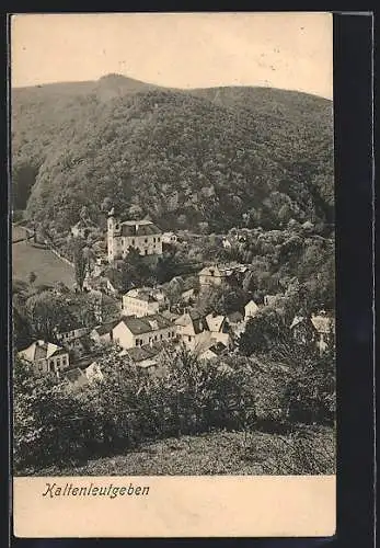 AK Kaltenleutgeben, Ortsansicht mit Kirche