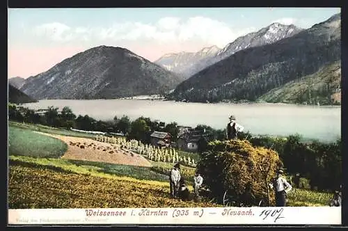 AK Neusach, Teilansicht mit Bauern bei der Heuernte und Weissensee