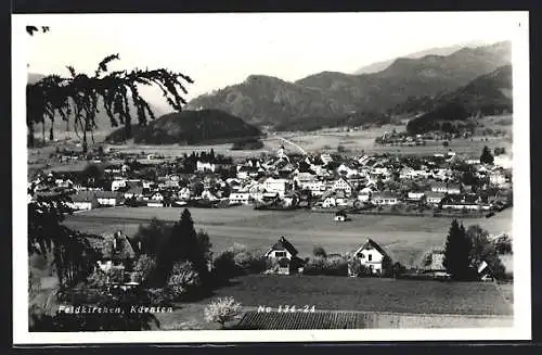 AK Feldkirchen /Kärnten, Teilansicht mit Bergen