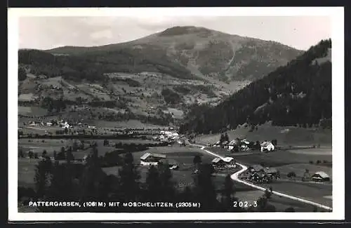 AK Reichenau in Kärnten, Pattergassen, Totale mit Moschelitzen