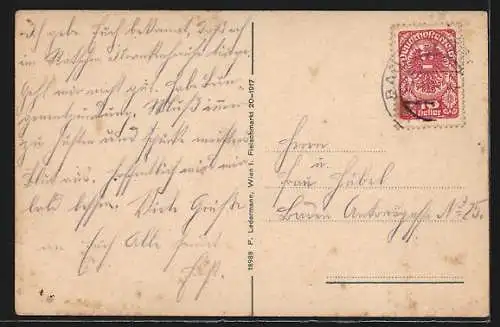 AK Baden bei Wien, Panorama von der Putschanerlucke aus