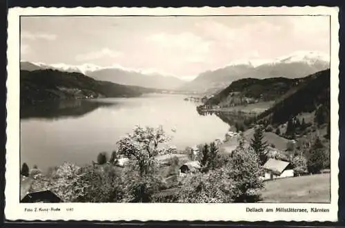 AK Dellach am Millstättersee, Panorama