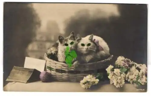 AK Weisse Katzen mit grünglänzenden Augen in einem Korb