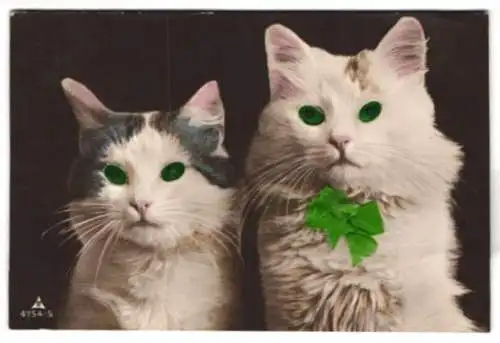 AK Katzen mit leuchtenden Augen und einer Schleife aus echtem Stoff