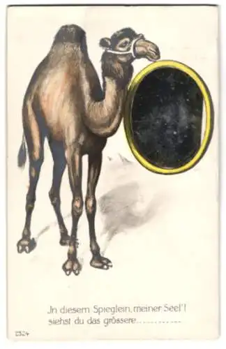AK Ein Kamel nebst einem ovalen Spiegel, In diesem Spiegel meiner Seel` siehst du das grössere....