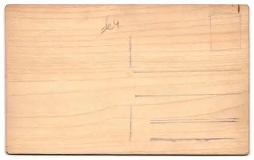 Holz-AK Ein einsames Hauss an einer Flussbiegung