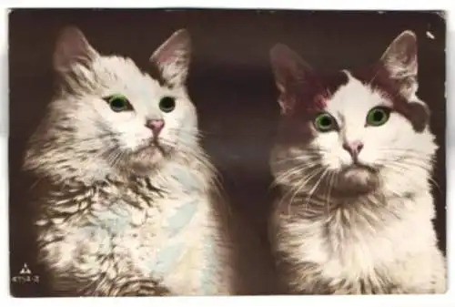 Glasaugen-AK Zwei Katzen mit grünen Augen