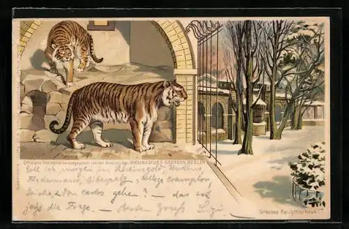 Lithographie Berlin, Grosses Raubtierhaus im Zoologischen Garten, Tiger