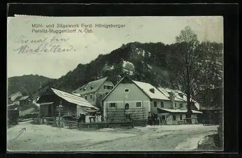 AK Pernitz-Muggendorf, Mühl- und Sägewerk Ferd. Hönigsberger