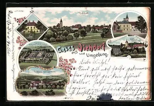 Lithographie Viehdorf, Landesackerbauschule Edthof, Schloss Hainstetten, Schloss Seisenegg