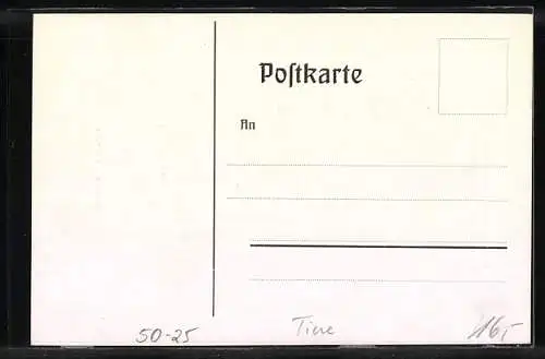 AK Belgisches Hasenkaninchen