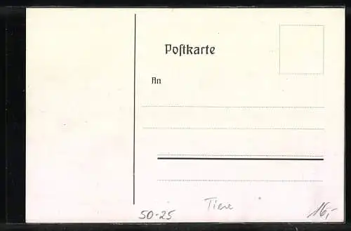 AK Deutsches Riesenscheckenkaninchen, Häsin mit Jungen