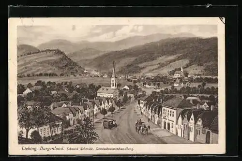 AK Liebing /Burgenland, Ortsansicht mit Strasse und Bergpanorama, mit Gemischtwaren E. Schmidt