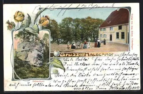 AK Bonndorf / Bodensee, Gasthaus zum Haldenhof, Steinpalmen