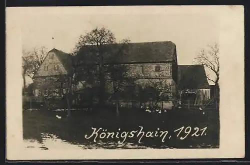 Foto-AK Königshain, Hochwasser 1921, Gehöft mit umgebendem Wasser