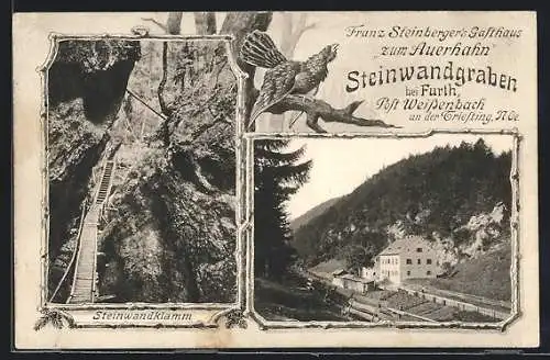 AK Weissenbach an der Triesting, Franz Steinberger`s Gasthaus zum Auerhahn, Steinwandklamm