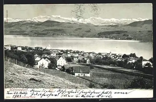 AK Männedorf, Ortspanorama mit Blick über den See