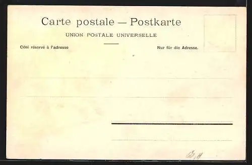 AK Neuchâtel, Panorama