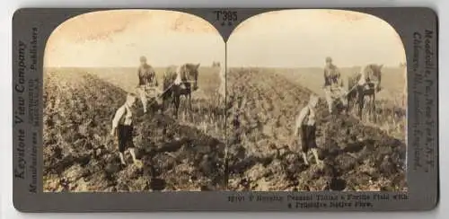 Stereo-Fotografie Keystone View Company, Meadville, Ansicht Russland, Russian Peasant Tilling a Fertile Field with Plow