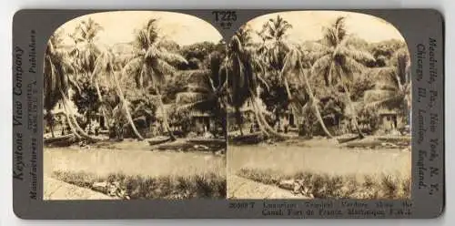 Stereo-Fotografie Keystone View Company, Meadville, Ansicht Fort de France / Martinique, Luxuriant Tropical Verdure