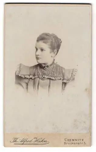 Fotografie Th. Alfred Hahn, Chemnitz, Brückenstr. 5, Junge Dame im hübschen Kleid