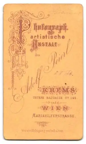 Fotografie Krems, Wien, Mariahilferstrasse, Junge Dame mit Hochsteckfrisur u. Haarnetz