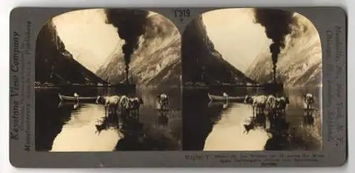 Stereo-Fotografie Keystone View Company, Meadville, Ansicht Gudvangen / Norway, Outlook over Naerofjord