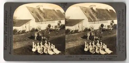 Stereo-Fotografie Keystone View Company, Meadville, Ansicht County Kerry / Ireland, Prosperous Farmer