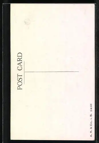 AK Mädchen auf Wiese beim Blumenorakel