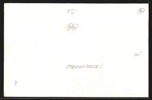 Lithographie Landeck, Teilansicht mit Burg