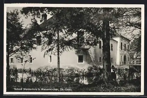 AK Waizenkirchen, Schloss Weidenholz